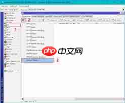 ROS如何构建PPPOE服务器