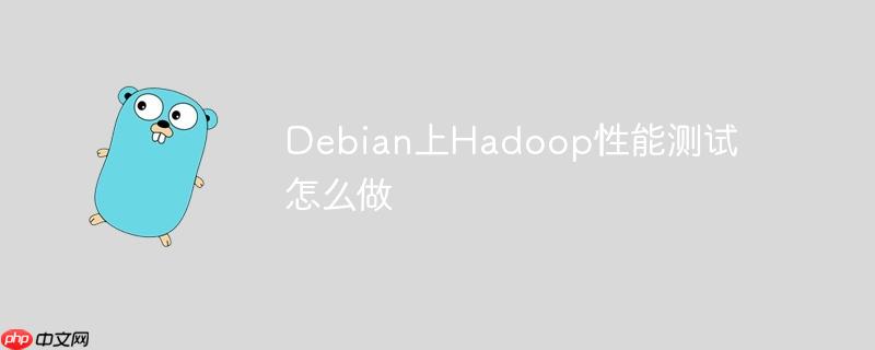 debian上hadoop性能测试怎么做