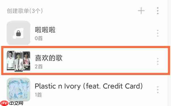 网易云音乐怎么不让别人看到我的歌单