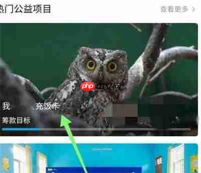 哔哩哔哩在哪里捐款