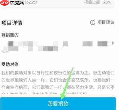 哔哩哔哩在哪里捐款