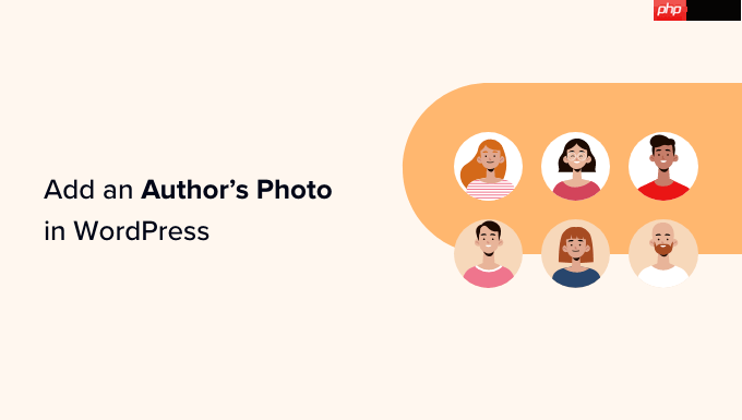 如何在 WordPress 中添加作者照片