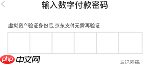 京东数字支付密码是什么意思 京东数字支付密码没设置过怎么办