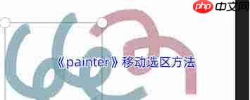 painter怎么复制选区
