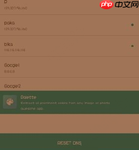 哔咔漫画怎么修改dns？修改dns的方法说明