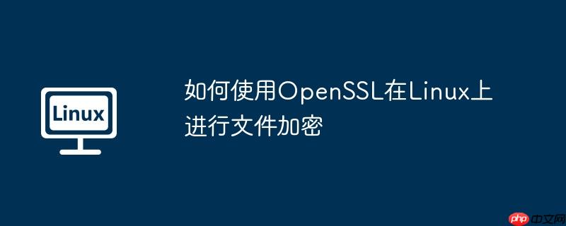 如何使用openssl在linux上进行文件加密