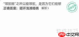 领航鲸能领航是因为它们能什么？神奇海洋9.21答案揭晓