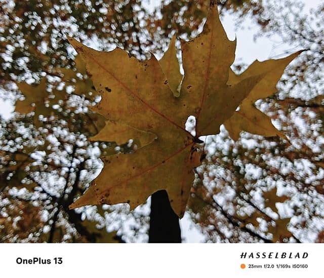 一加13手机怎么样 一加13手机详细评测