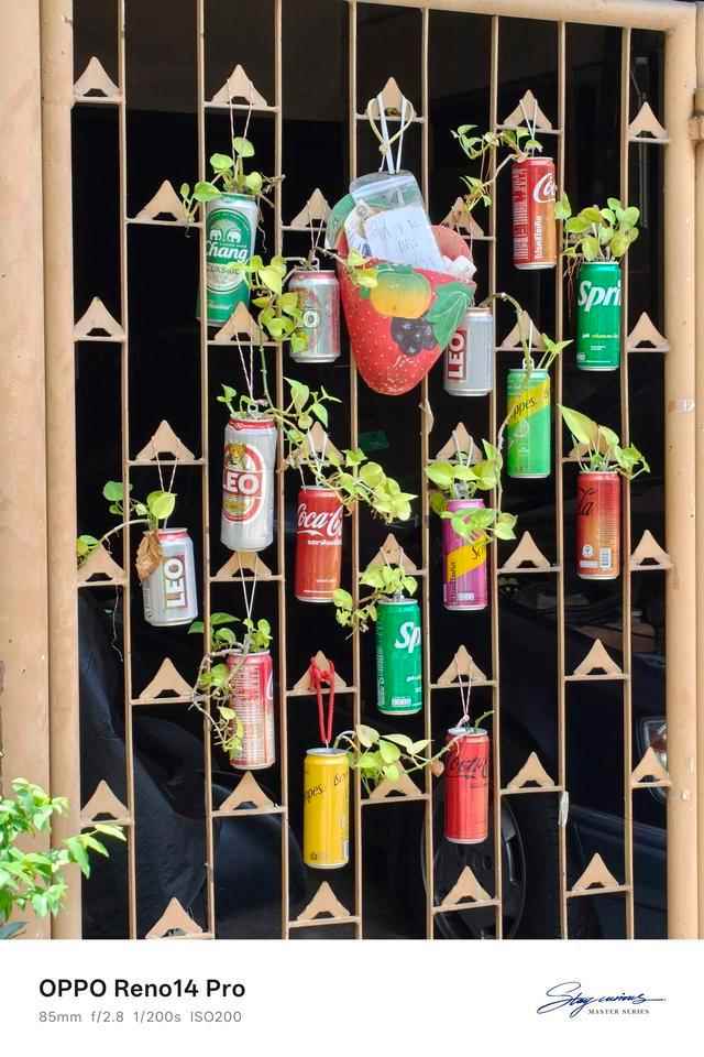 实况照片原来有这些新玩法! OPPO Reno14系列手机影像评测