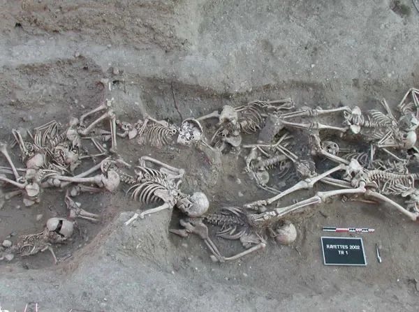 持续伤害超1500年、曾杀死欧洲一半人！它靠改变一个基因操纵人类命运