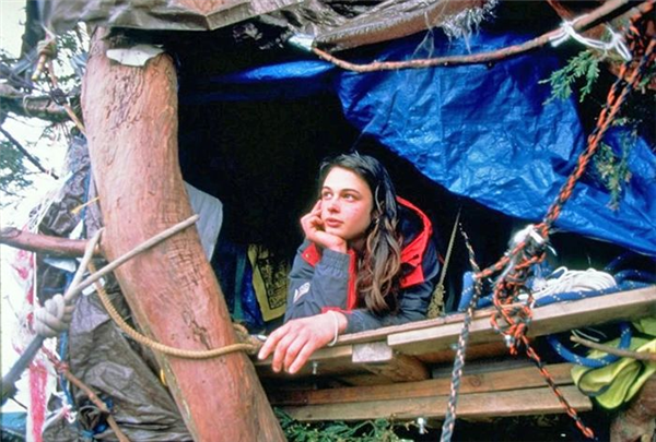 奇女子在一棵55米高的红杉树上住了738天