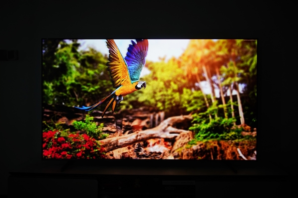 300Hz疾速高刷！海信E5Q Pro 75英寸图赏