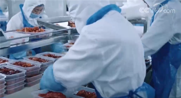 “四横四纵”国家冷链物流骨干通道网络形成：基地数量达105个