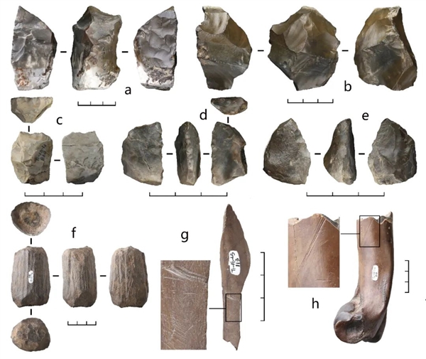 距今最久36万年！云南出土东亚最早木器 揭秘古人生存之道