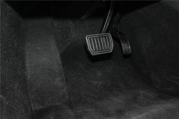 服了！到底有多少人觉得单踏板只有一个踏板