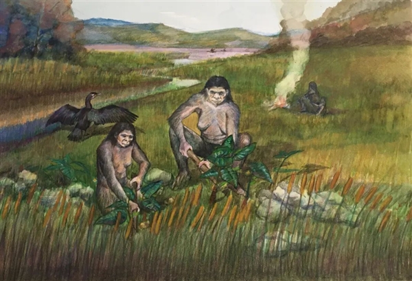 距今最久36万年！云南出土东亚最早木器 揭秘古人生存之道