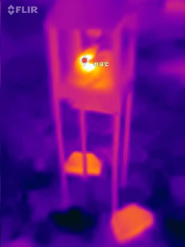 为消灭30万条盘踞美国佛州的缅甸蟒！人们准备派出玩具兔子