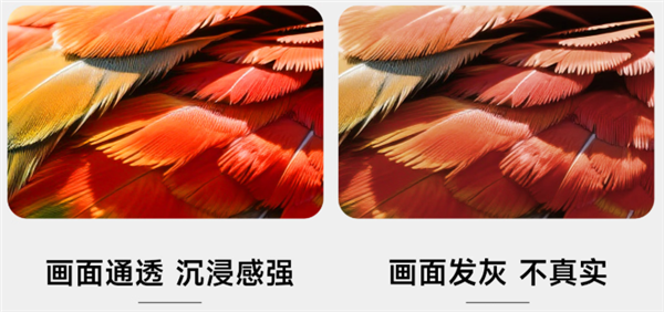 2025年买家用投影仪 要小心三色激光 画质清晰却可能损害眼睛