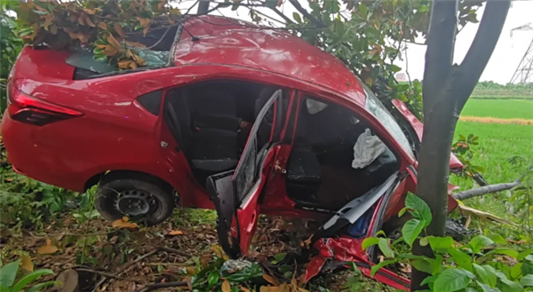 情侣吵架 女司机一脚油门飞车上树 自己脱困把男友留树上