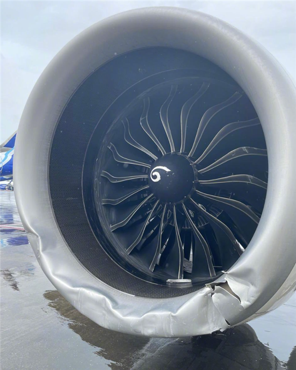 印度航空一空客客机降落时冲出跑道：发动机受损、爆三条胎