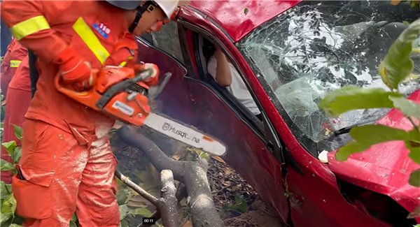 情侣吵架 女司机一脚油门飞车上树 自己脱困把男友留树上