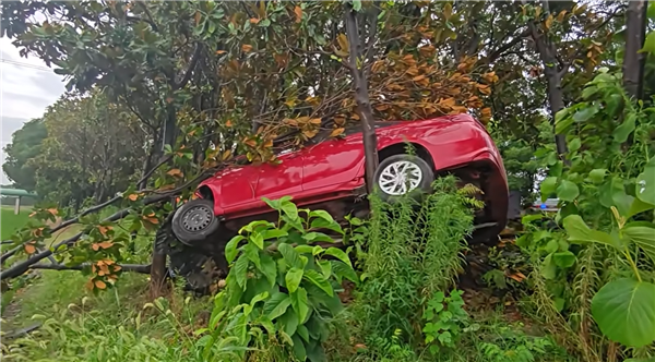 情侣吵架 女司机一脚油门飞车上树 自己脱困把男友留树上