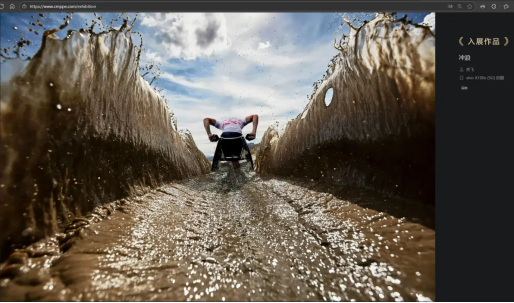 手机摄影大展入展作品被指抄袭加AI造假：与英国摄影师作品高度雷同