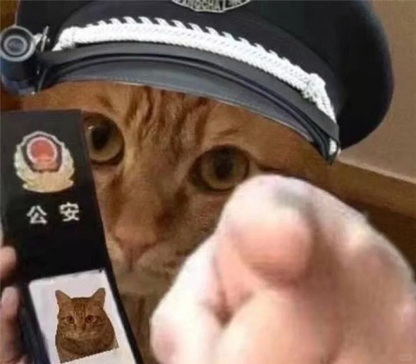 一张AI假照片 差点骗走5万块