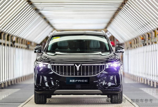 东风“腾笼换鸟” 岚图港股上市 细节全在这了