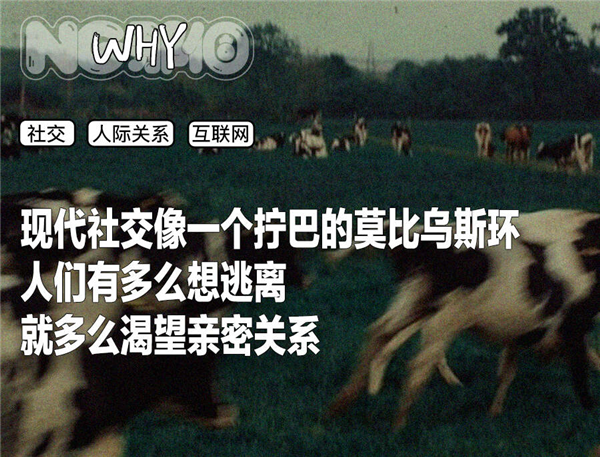 年轻一代的社交 为什么这么拧巴了