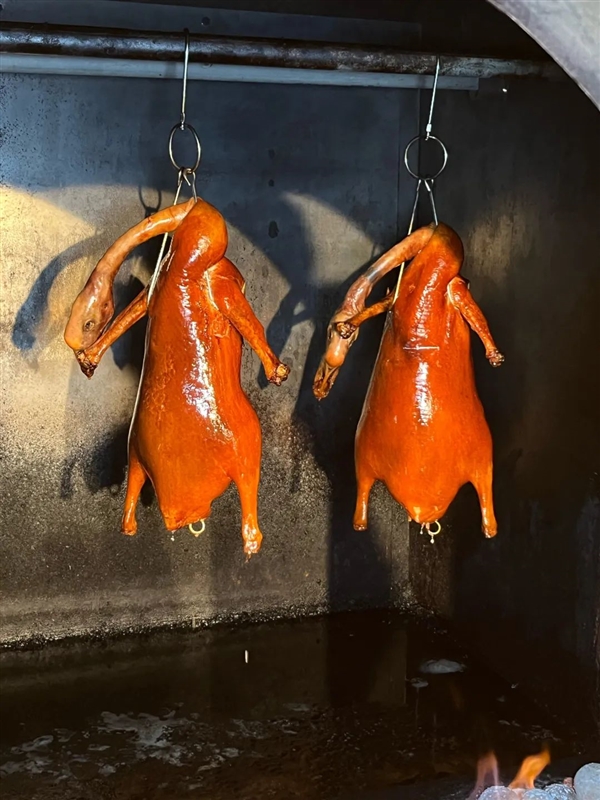 野鹅泛滥成灾 荷兰号召民众吃鹅 开专车将肉送上餐桌