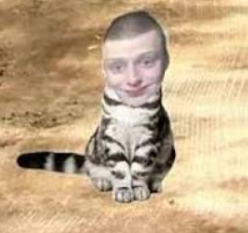 直播300小时后 这名主播被镜头“虐杀”