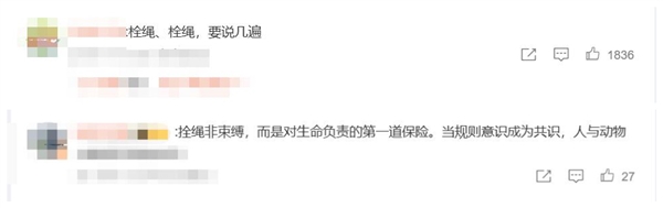 宠物狗未拴绳被碾压：主人失控捶打司机