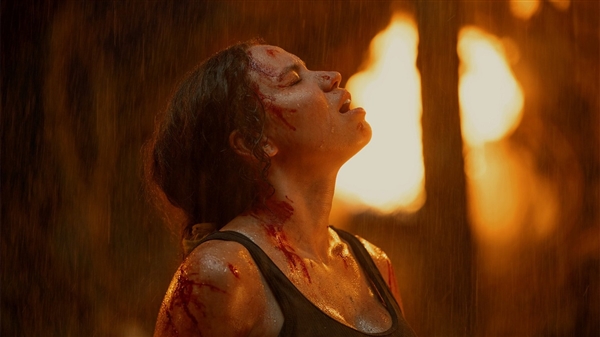 《悬案解码》新季下订