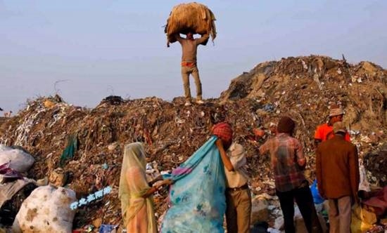 外国人在印度组队上街捡垃圾 印网民怒：简直是耻辱