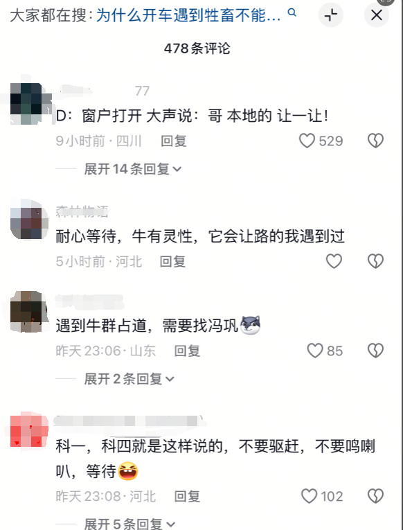 科目四现场版！女子驾车路遇牛群“拦路”双方僵持十多分钟 网友：找冯巩