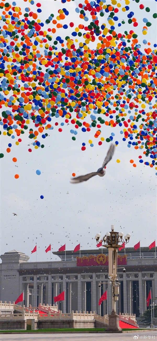 九三阅兵上放飞的一只鸽子火了 有人质疑是夜鹭：多方回应