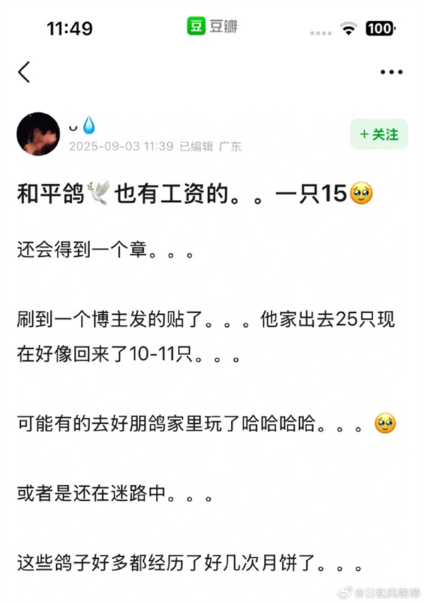 观礼结束后好心人救起落水和平鸽 腿上绑有数字编号  网友：“饼鸽鸽”有工资