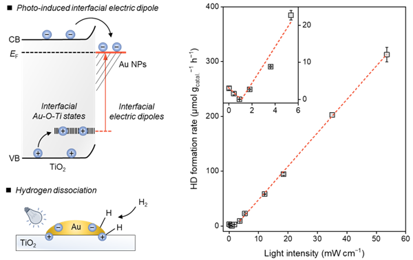 光催化氢气异裂领域重要进展！我国科研团队实现常温氢气异裂