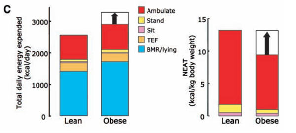 一个比散步还简单的动作 每天只需10分钟 就能改善体态、缓解肩颈痛