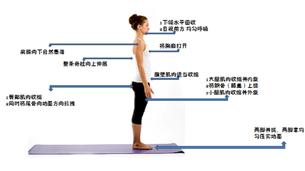 一个比散步还简单的动作 每天只需10分钟 就能改善体态、缓解肩颈痛