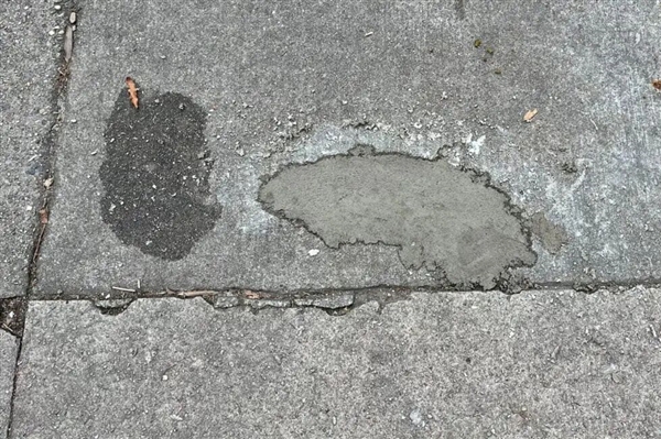 水泥地惊现“老鼠坑” 美国这条路火了！新研究带来反转：坑是松鼠砸的