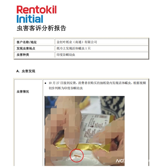 网友投诉清风未开封抽纸发现活虫 客服回应：可将问题产品寄回公司分析