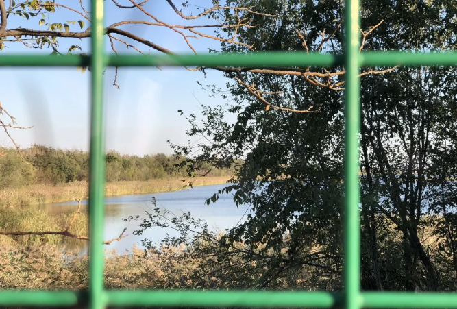 上有老下有小的日子里，我读懂了最好的生活：安静付出，慢慢成长