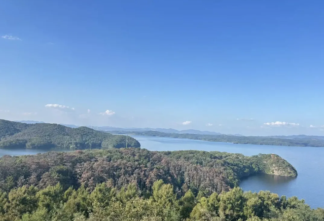 失业四个月我悟了！其实失业也未必是一件坏事