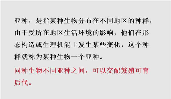 北美长颈鹿变混血 基因不纯失去保护价值：或成“同事”食物