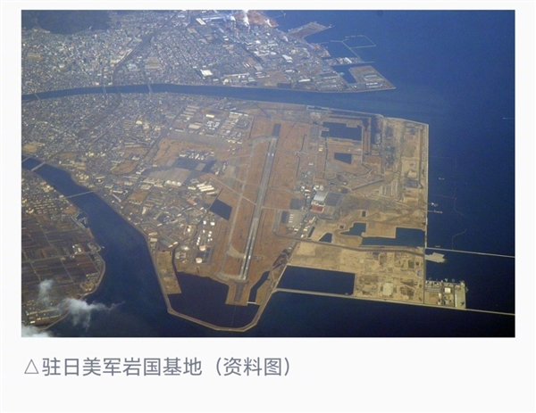 来源成迷 驻日美军基地发现大量毒蜘蛛：含剧毒黑寡妇